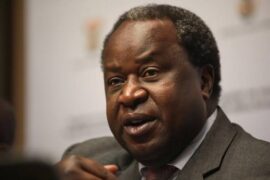 Tito Mboweni Biography